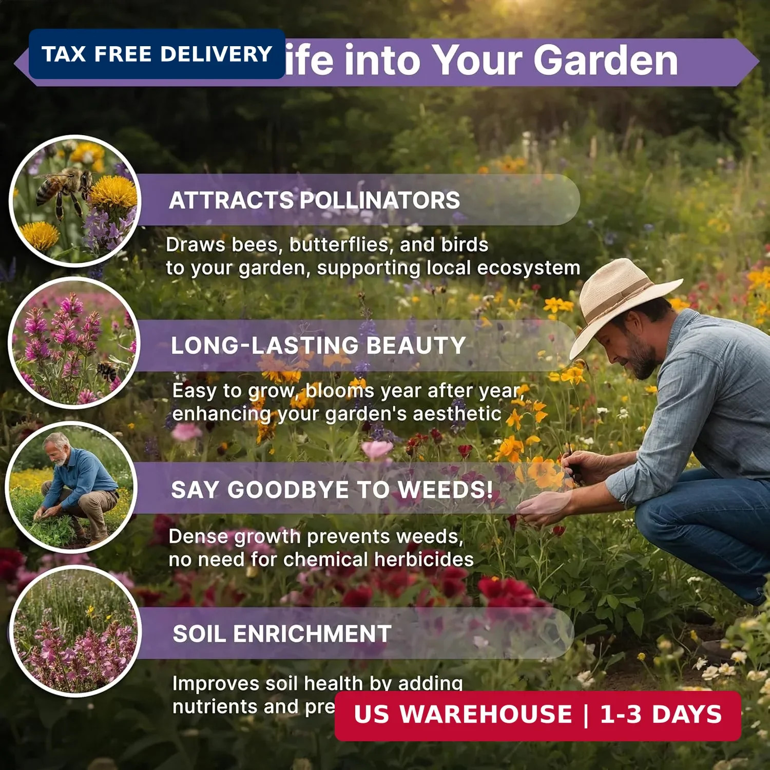 Organo Republic 23 Wildflower Seeds Annual & Perennial Mix for Indoor & Outdoors
