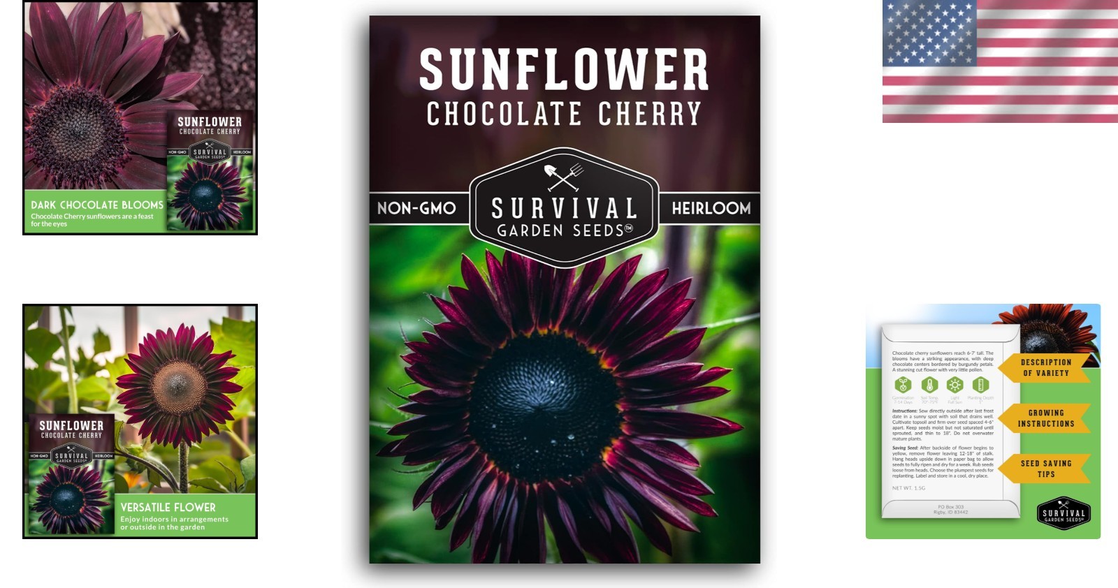 Heirloom Chocolate Cherry Sunflower Seeds | Low Maintenance, High Impact Blooms