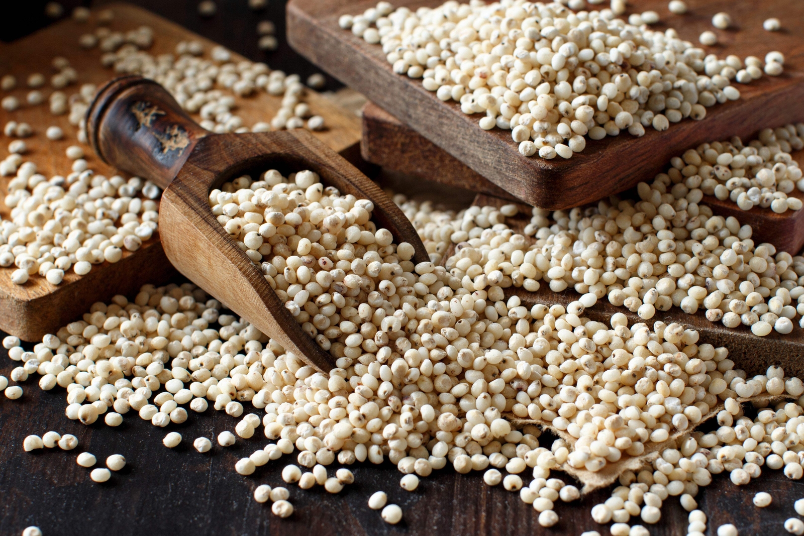 75 WHITE POPPING SORGHUM Bicolor Snack Vegetable Flour Grain Seeds *Combined S/H