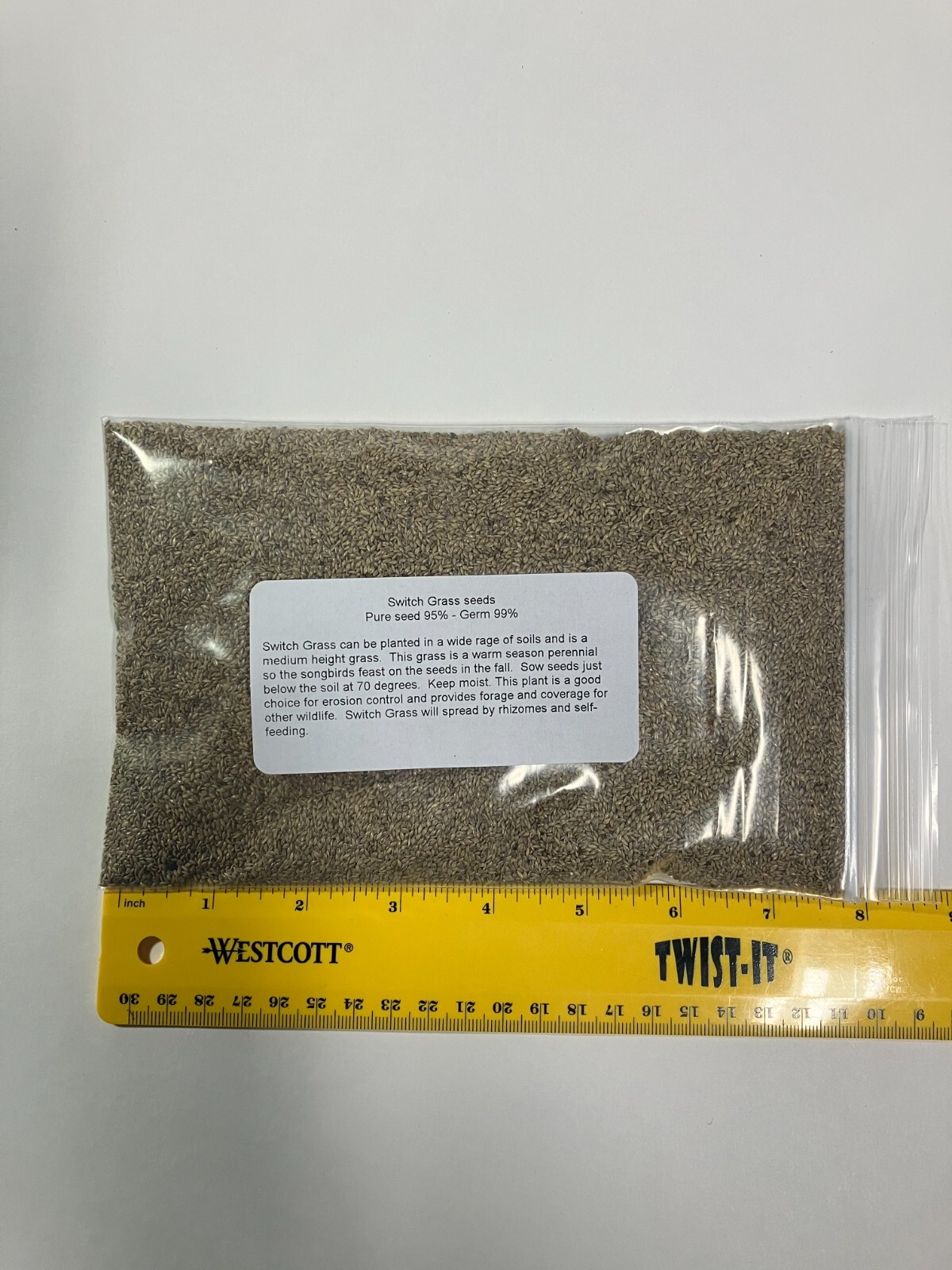 1/2 lb SWITCHGRASS Seeds Native Tall Grass Prairie Ornamental Perennial pound