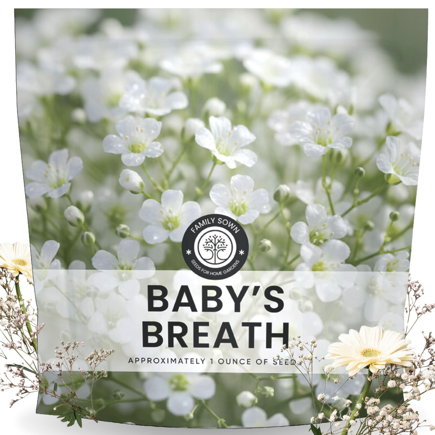 Baby’s Breath – 22,000 Seeds for Planting – 2026 Season – 1 Ounce Pouch