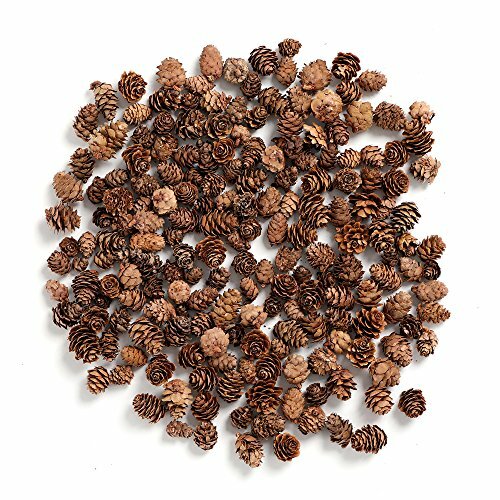 Mini Pine Cones, in Bulk for Crafts, Pack of 110 (Natural) Brown Farm Academy