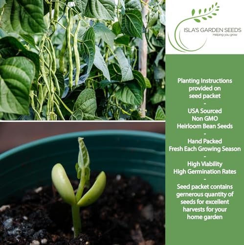 Kentucky Wonder Pole Bean Seeds (Phaseolus vulgaris) – 30+ Non-GMO Heirloom