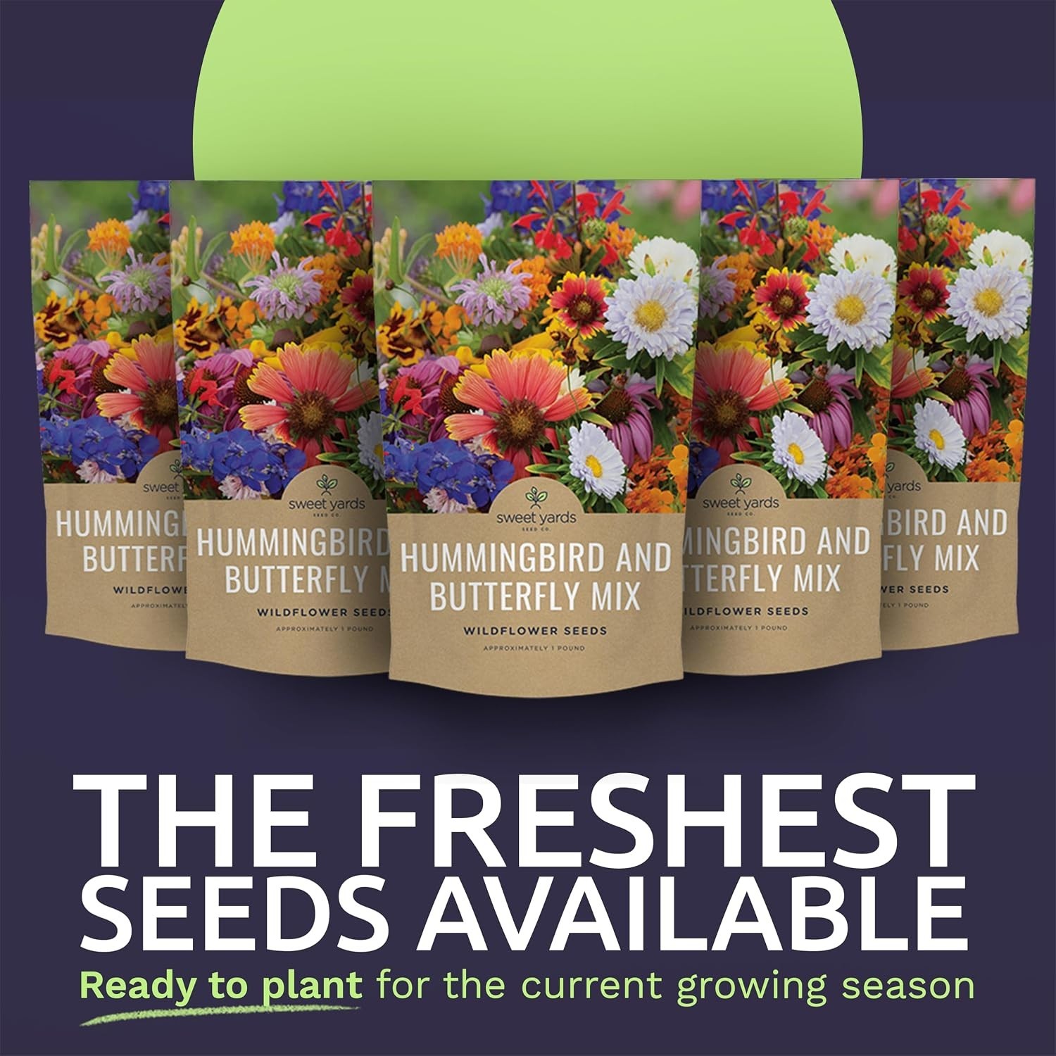 Wildflower Seeds Bulk – Butterfly Hummingbird Mix, 5 Pounds