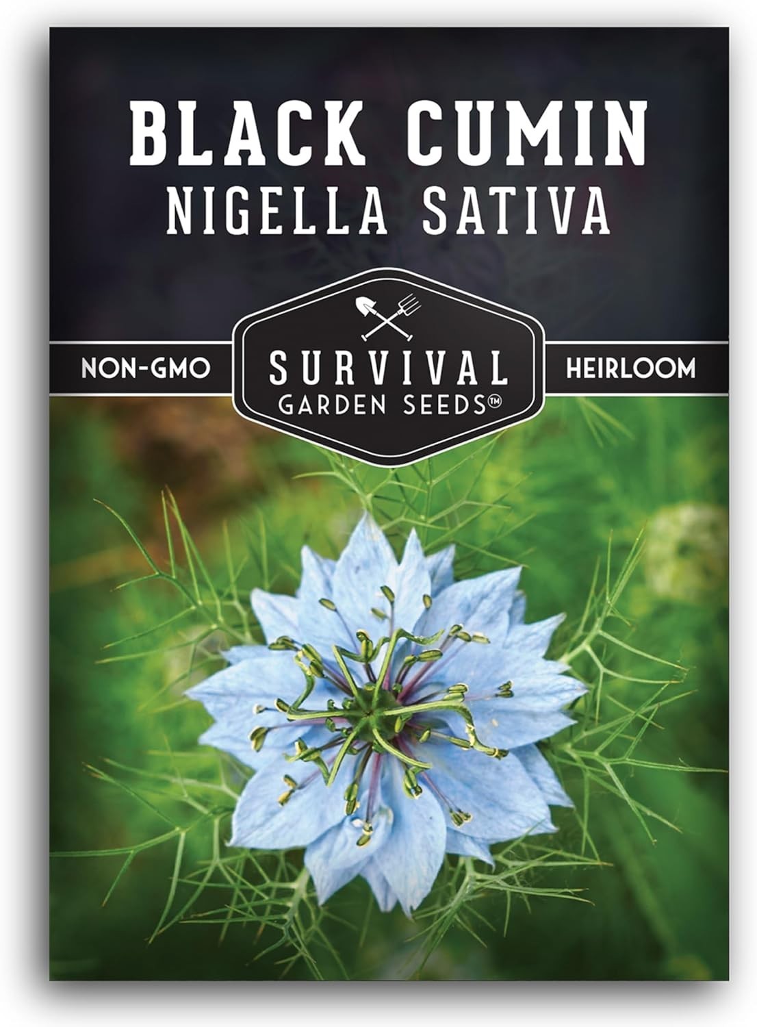 Nigella Sativa Seeds – High Germination Black Cumin for Sustainable Herb Gardens