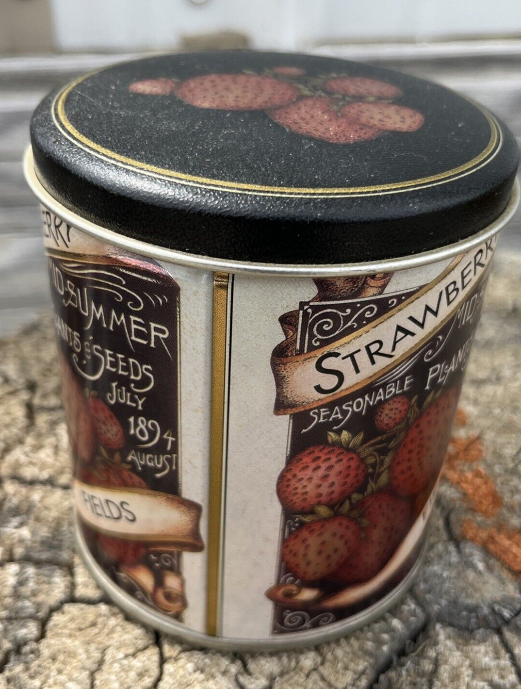 Strawberry Fields Mid-Summer Plants & Seeds Collectible Farmhouse Tin Vintage Ad