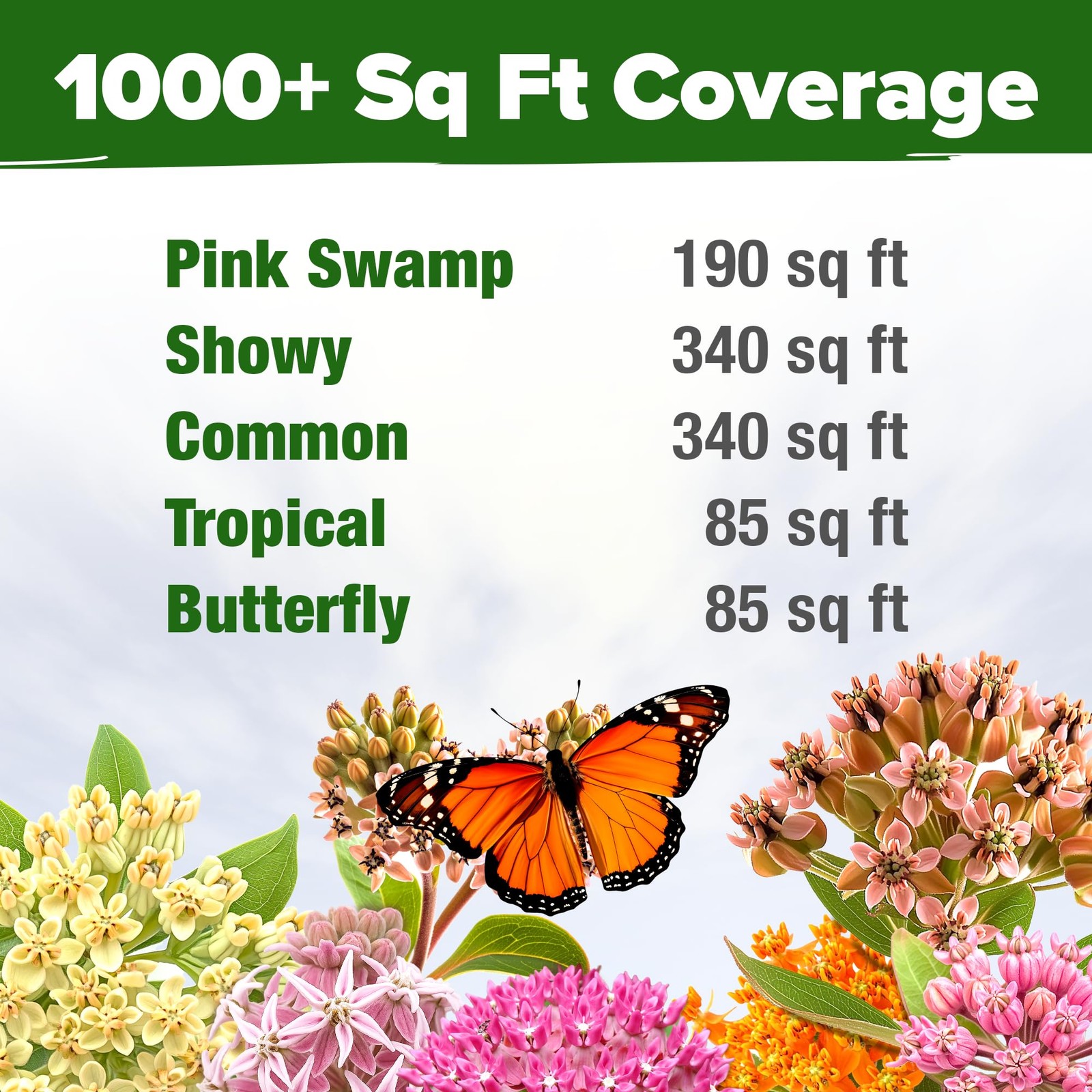 Milkweed Flower Seeds – 500+ Heirloom Perennial Wildflower Seeds (5 Individua…