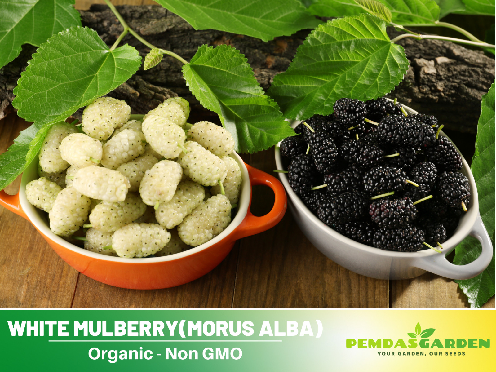 55 Seeds| White Mulberry Fruit Seeds #6032
