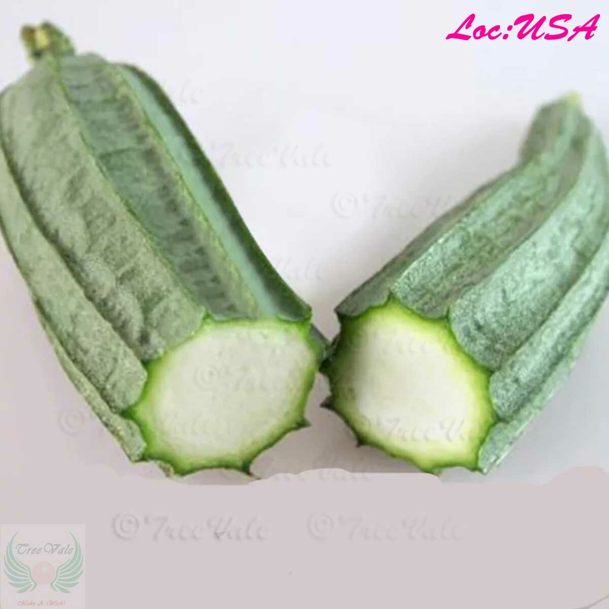 Angled Luffa, Redged Gourds, Sponge Gourds, Chinese Okra, Luffa Acutangula SEEDS