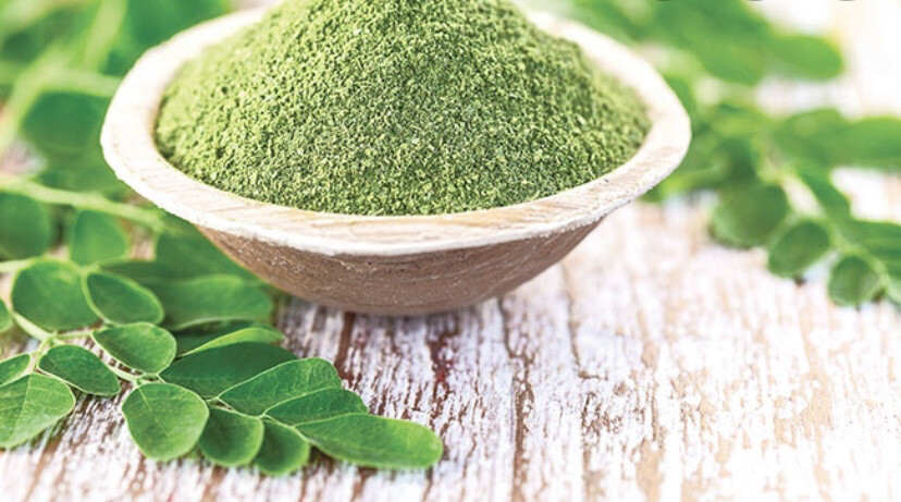 Moringa Powder organic 4oz. non gmo vegetable