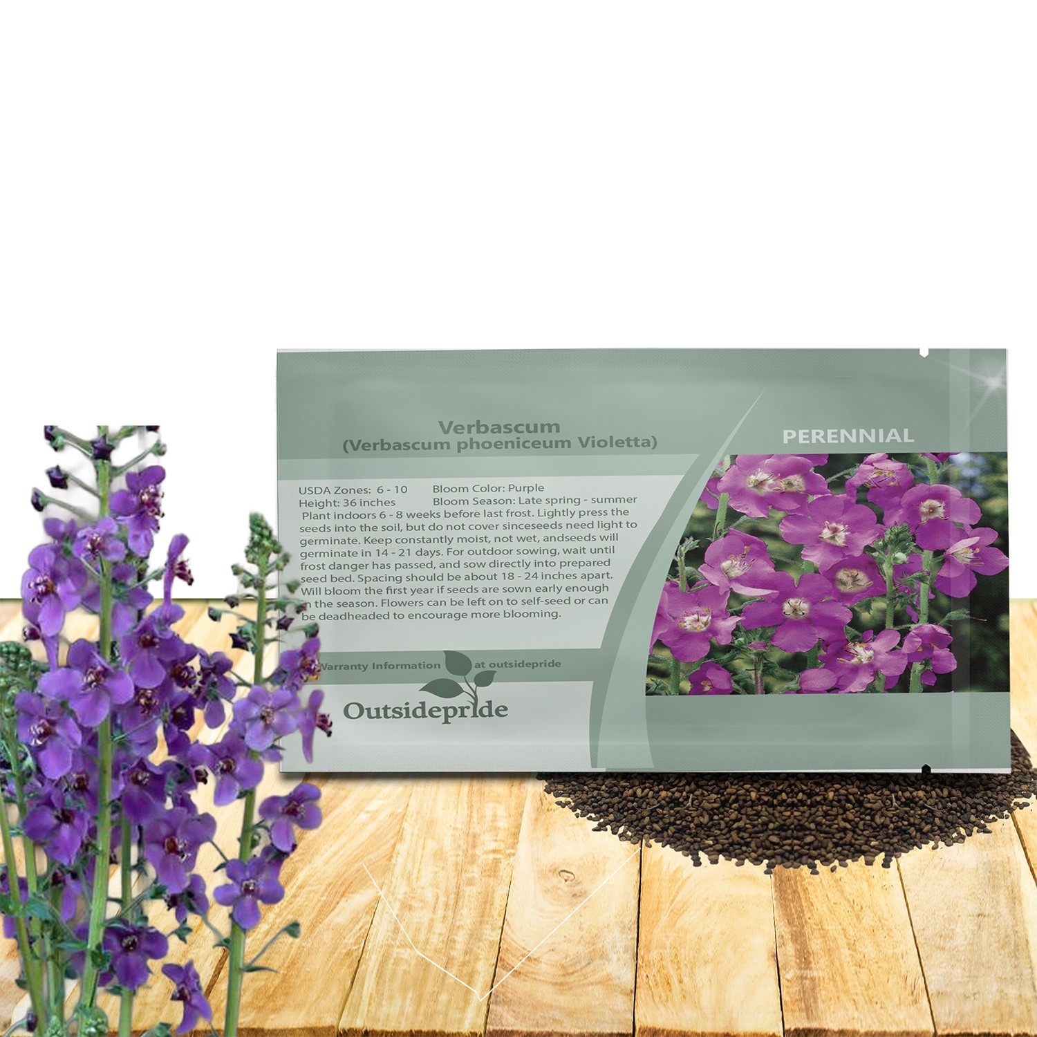 2000 Seeds Verbascum phoeniceum Violetta Mullein Garden Flower Plant Seeds