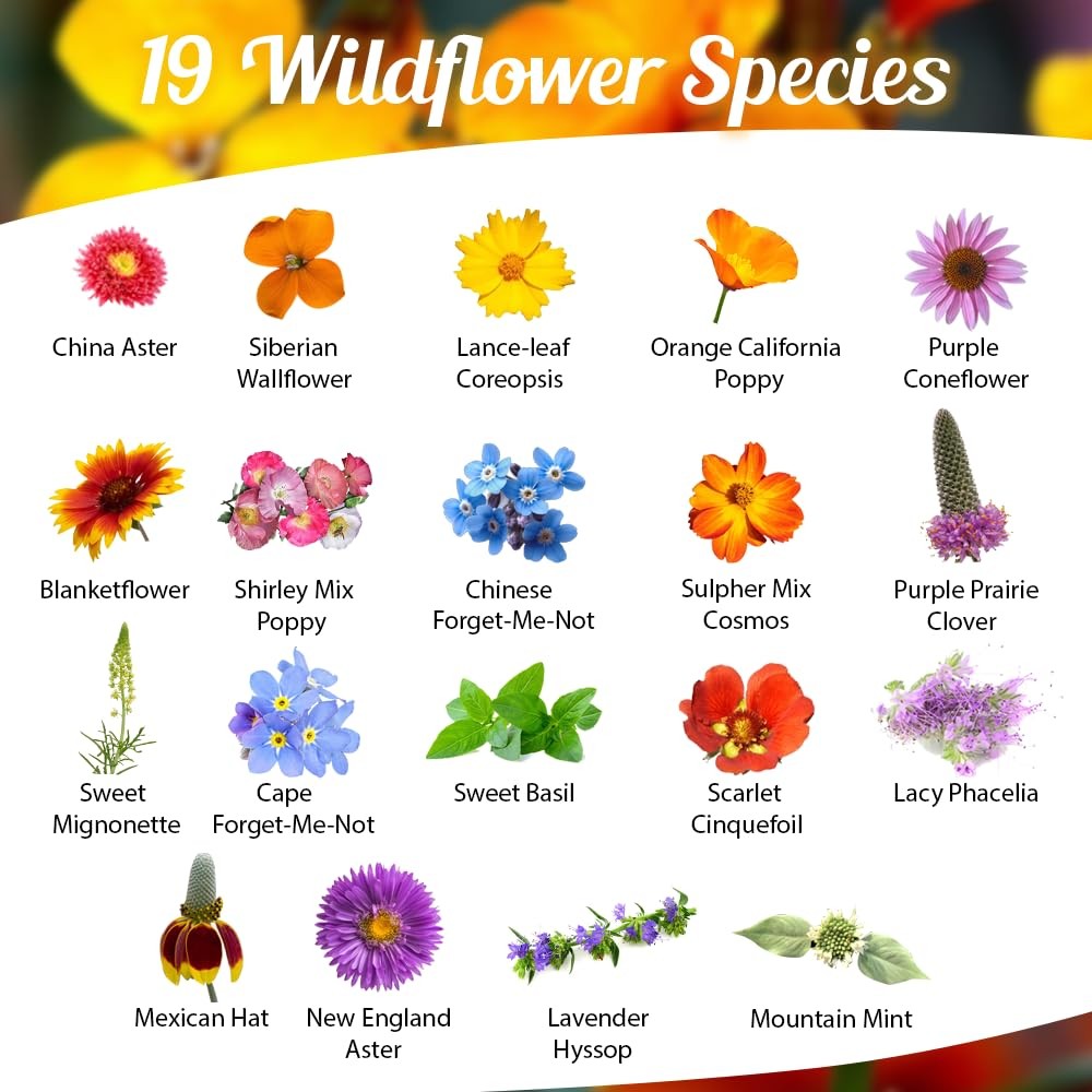 Honey Source Wildflower Seeds Mix for Honey Bees 4oz, Premium Annual and Per…