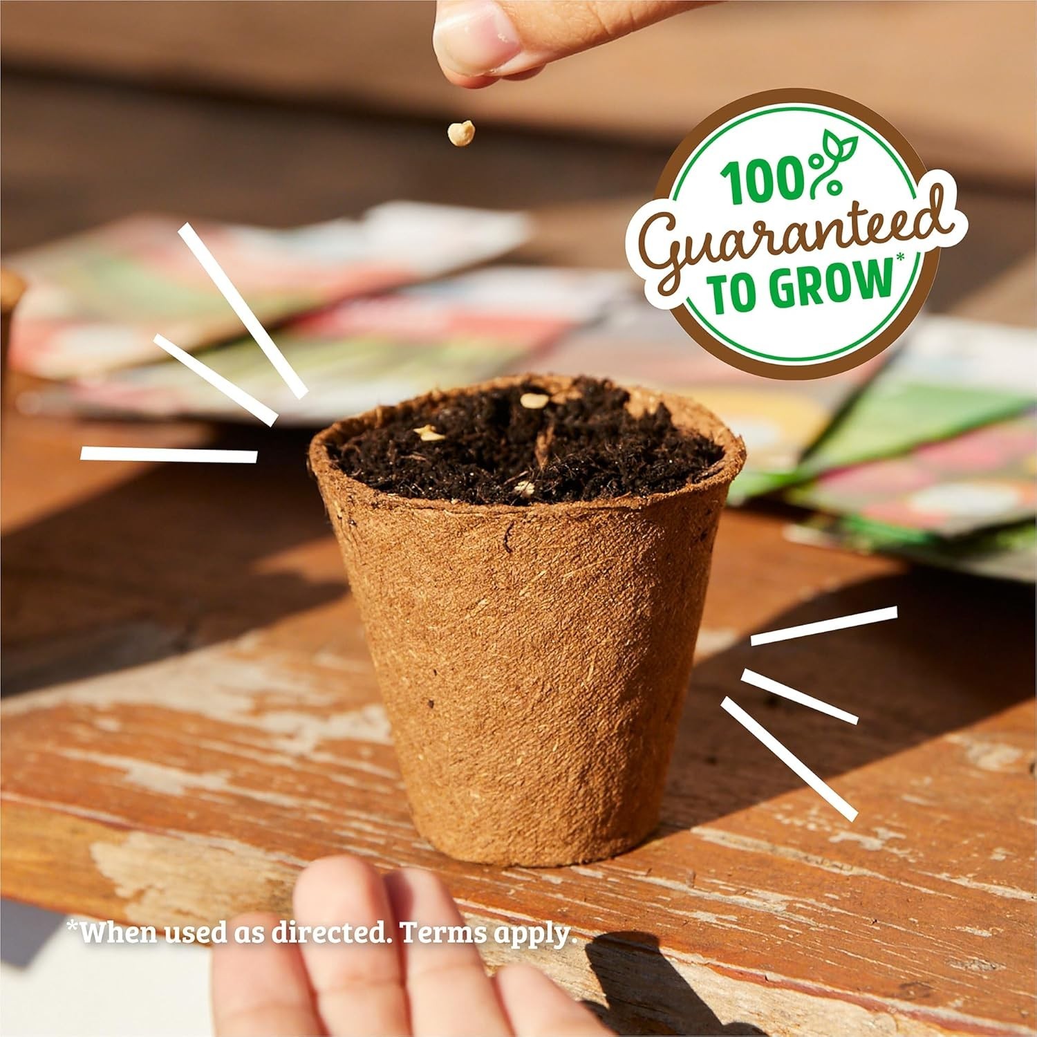 Assorted 30pk Organic Non-GMO Seeds – Perfect for -Round Gardening Success
