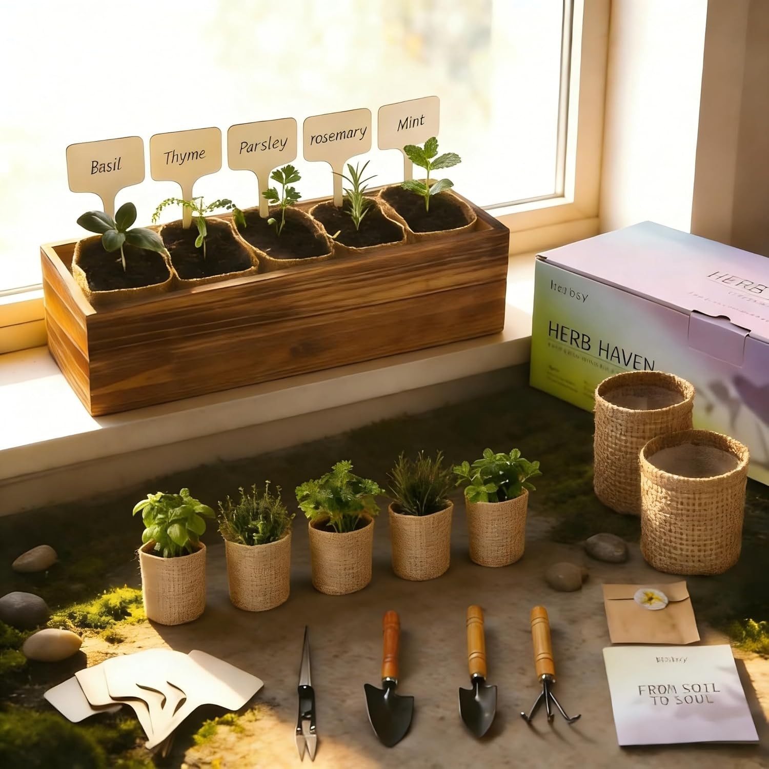 Elegant 5 Herb Garden Starter Kit – Basil, Rosemary, Mint & More for Windowsills