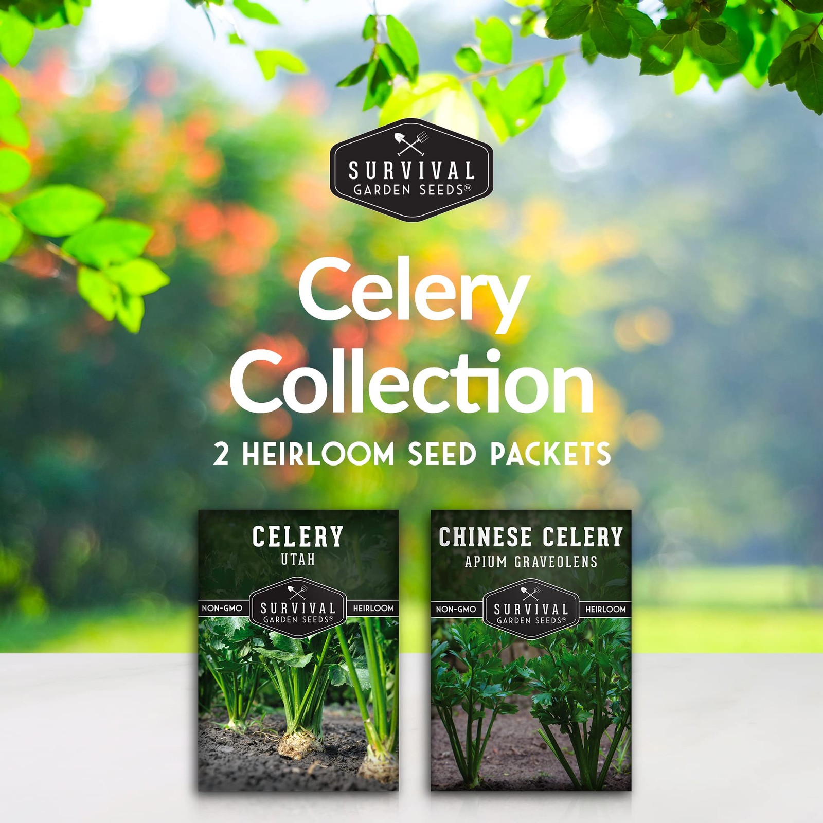 Celery Collection for Planting – 2 Packet with Instructions to Plant and Grow…