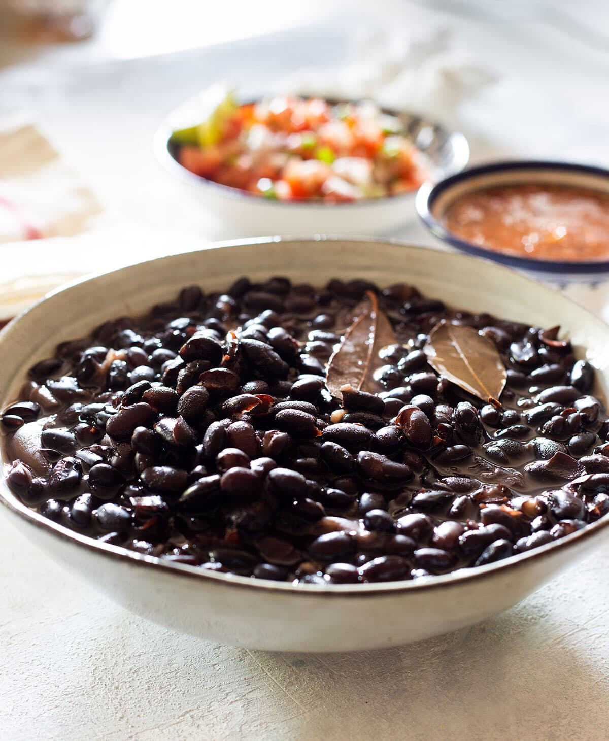 Oaxacan Black Bean Seeds (30) / ORGANIC / MEXICAN CUISINE / BUSH BEAN