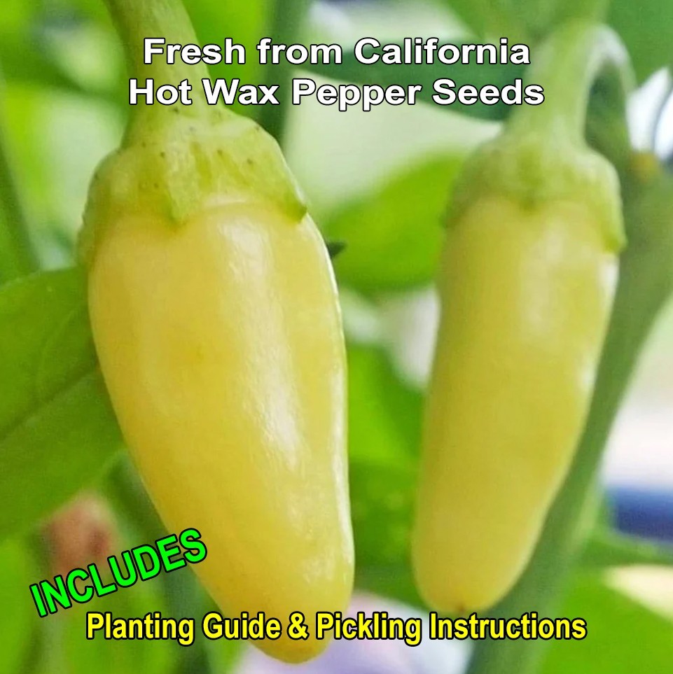Hot Banana Wax Peppers | Cascabella Pepper Seeds Organic & Non-GMO | Ships Free