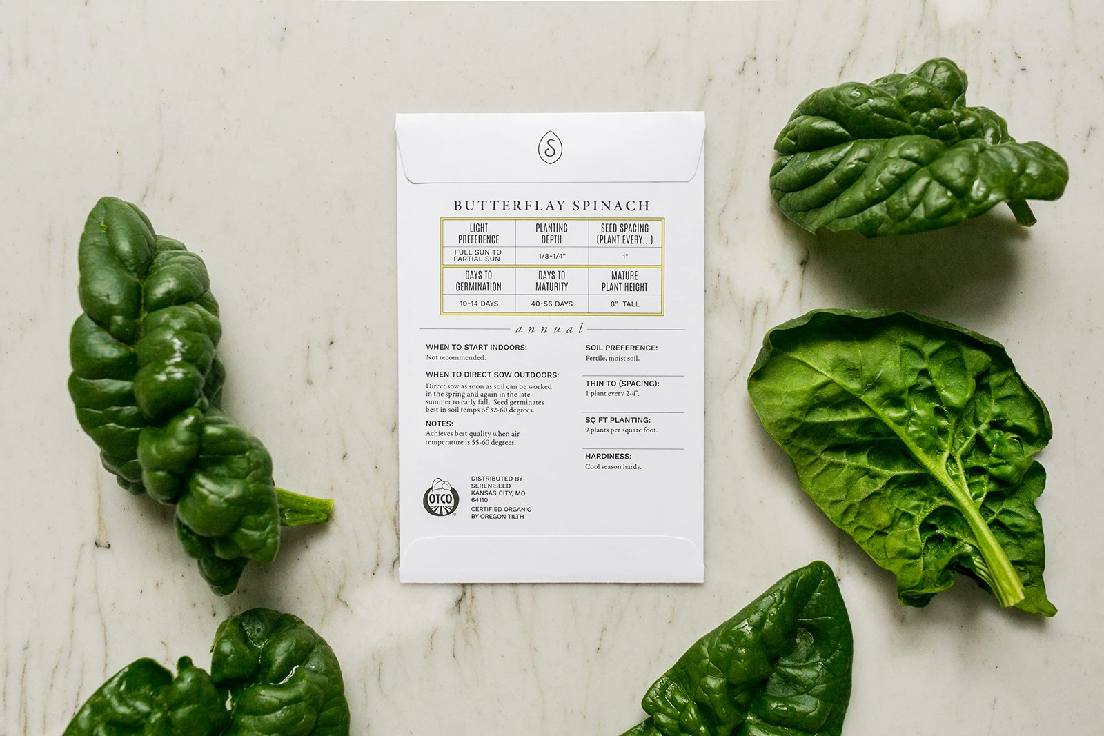 Organic Lettuce Seeds Collection 10 Varieties Leafy Greens 10 Pack Non GMO