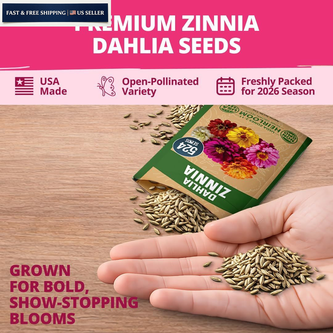HOME GROWN Zinnia Dahlia Seeds Pack for 2026 Non GMO 524 Flower 1-Pack, Multi