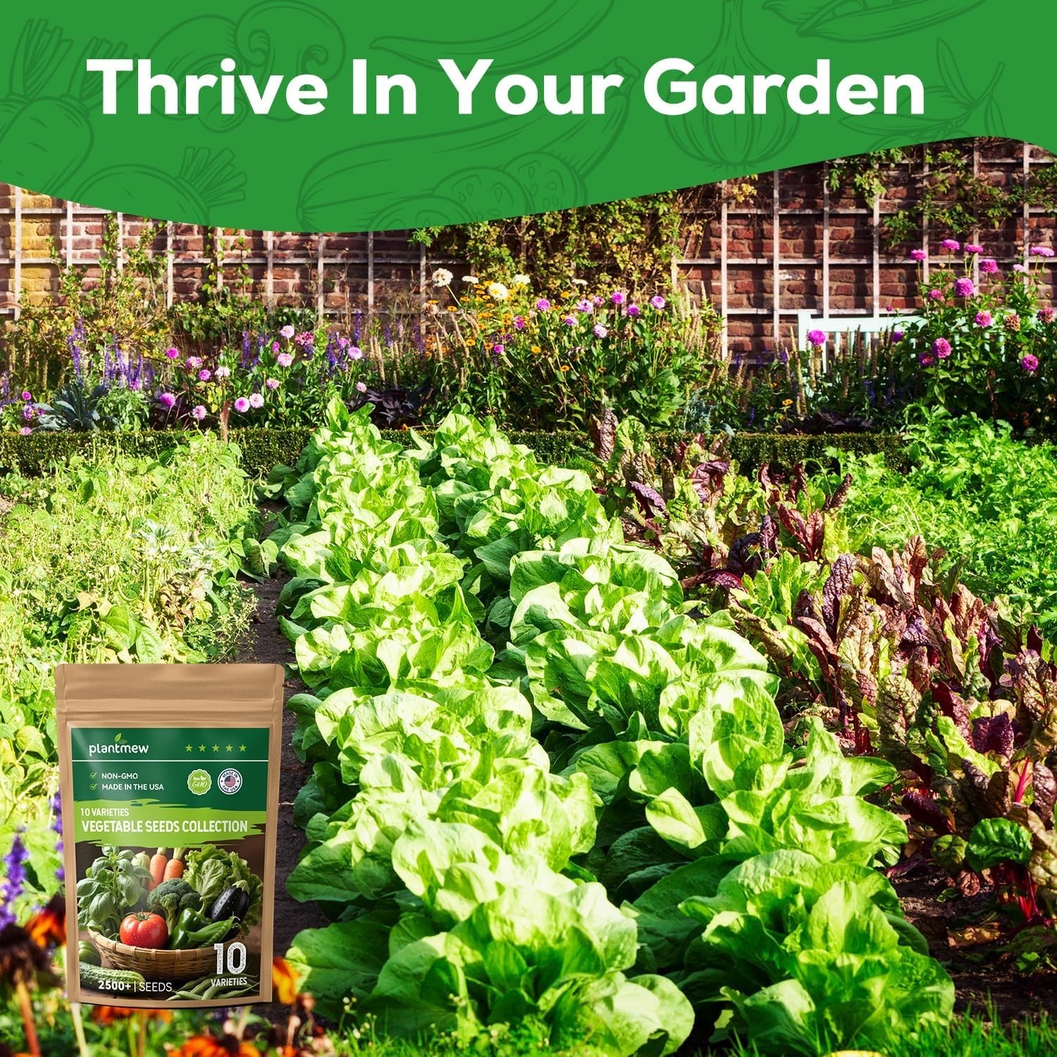 【Seed Vault】 Heirloom Vegetable Seeds Planting Kit – 25,000+ Non-Gmo Seeds for