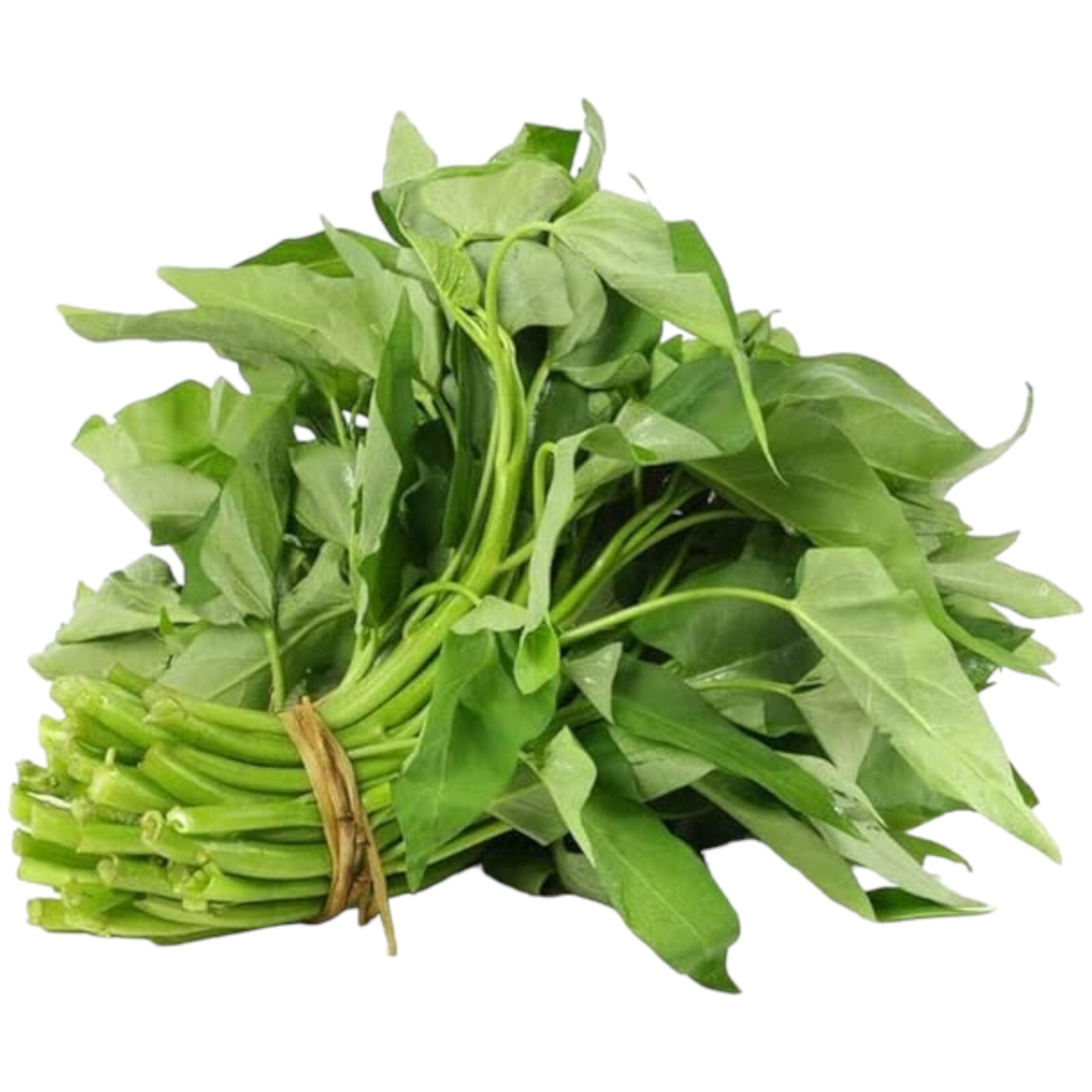 120pcs Water Spinach ‘Kong Xin Cai’ Seeds – Organic, Non-GMO Heirloom Vegetable.