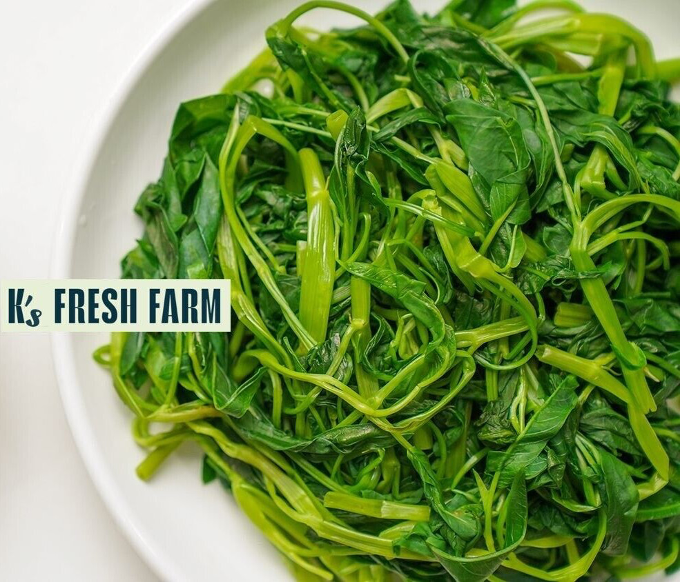 200+ pcs SUPER BUDS KANGKONG WATER SPINACH SEEDS,ONG CHOY, RAU MUỐNG SIÊU ĐỌT