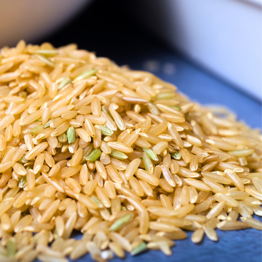Fresh Thai Brown Jasmine Rice Plant Seeds | Organic | Heirloom Non-GMO | Grains