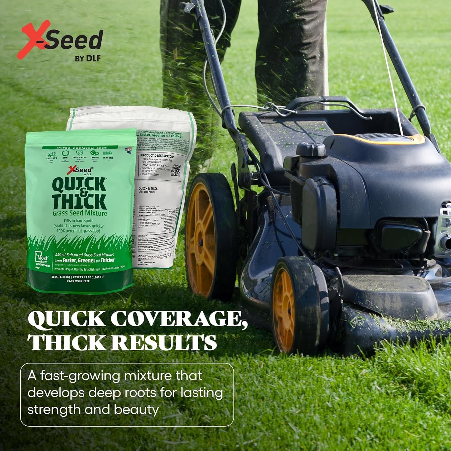 Ultra Quick and Thick Lawn Seed Mixture – Rapid Germination for Any Lawn, De…