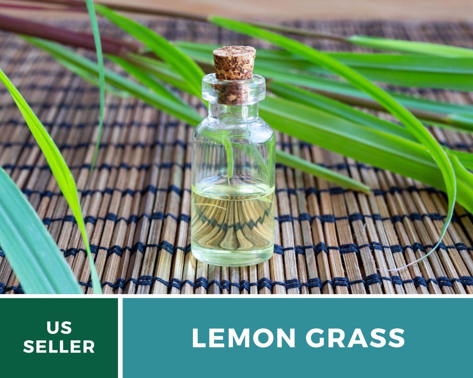 Lemon Grass – 100 Seeds – Culinary & Medicinal Herb (Cymbopogon Flexuosus)