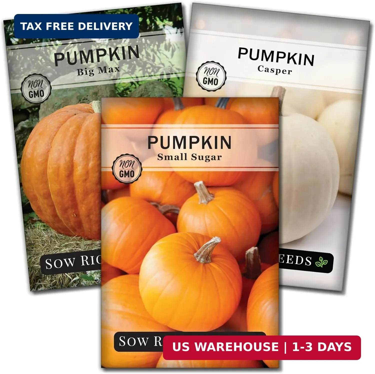 Sow Right Seeds – Classic Pumpkin Seed Collection for Planting – Small Sugar, Ca