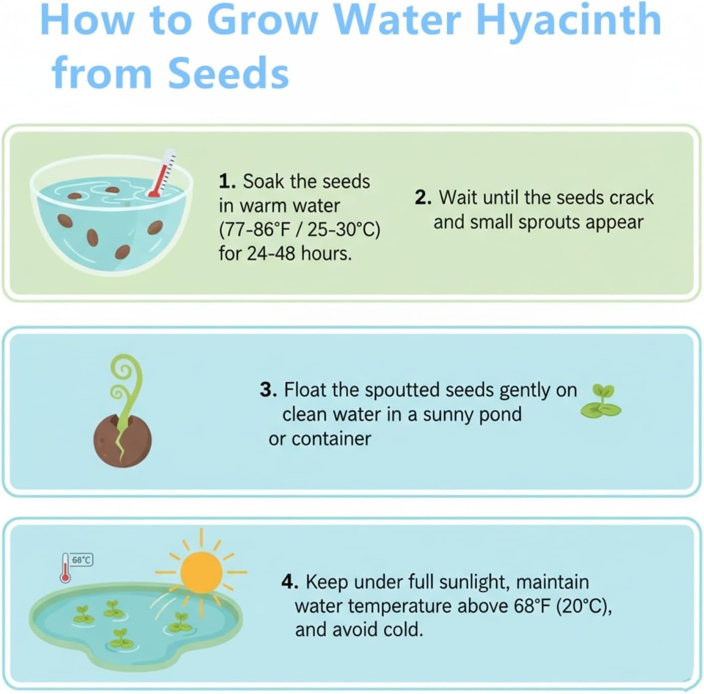 Transform Your Pond: 200 GMO-Free Water Hyacinth Seeds for Vibrant Water Gardens