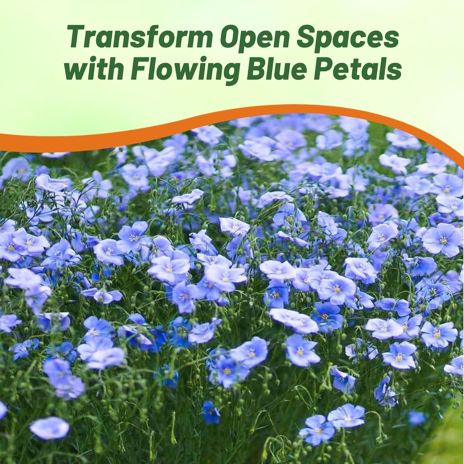 Easy Planting 5000 Blue Flax Seeds – Attract Pollinators & Enhance Your Garden
