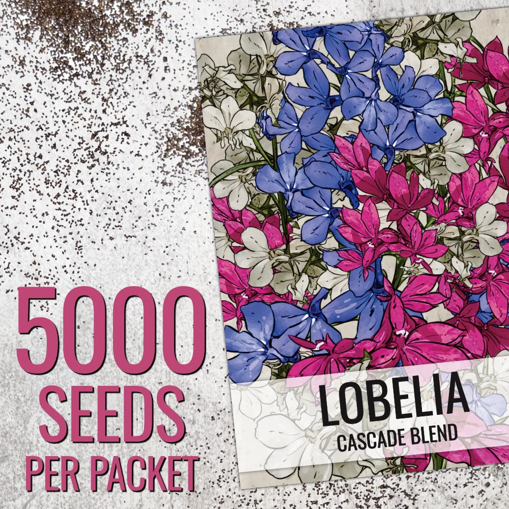 Cascade Blend Lobelia Seeds For Planting (Lobelia pendula)