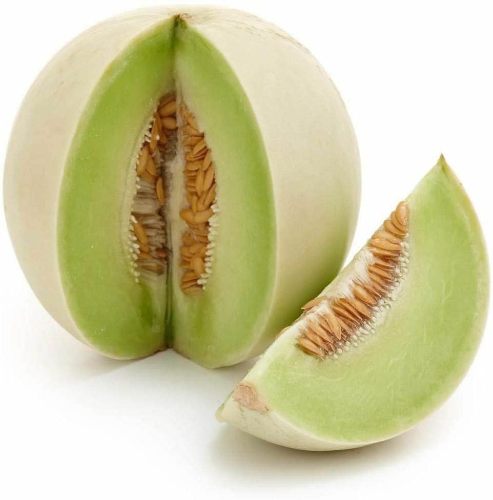Melon Seeds,Honey Dew Melon Seeds, “COOL BEANS N SPROUTS” Brand. Home Gardening.