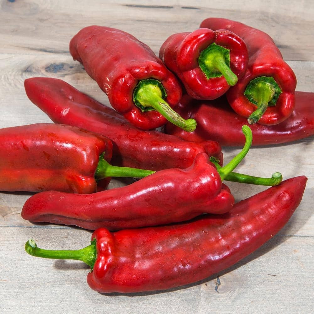 19.3 oz. Giant Marconi Pepper Plant, (2-Pack)