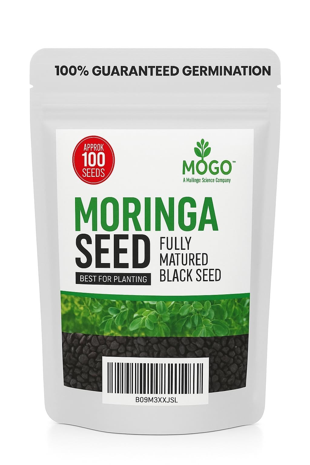 100 Moringa Seeds for Planting | Premium Germination | Malunggay Seeds, PKM1