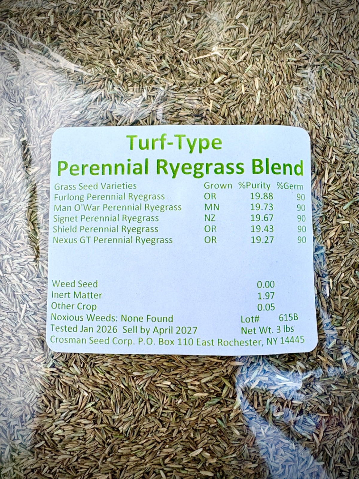 Perennial Ryegrass Turf Type Grass Seed Blend 3 lb Overseed Sports Field Lawn