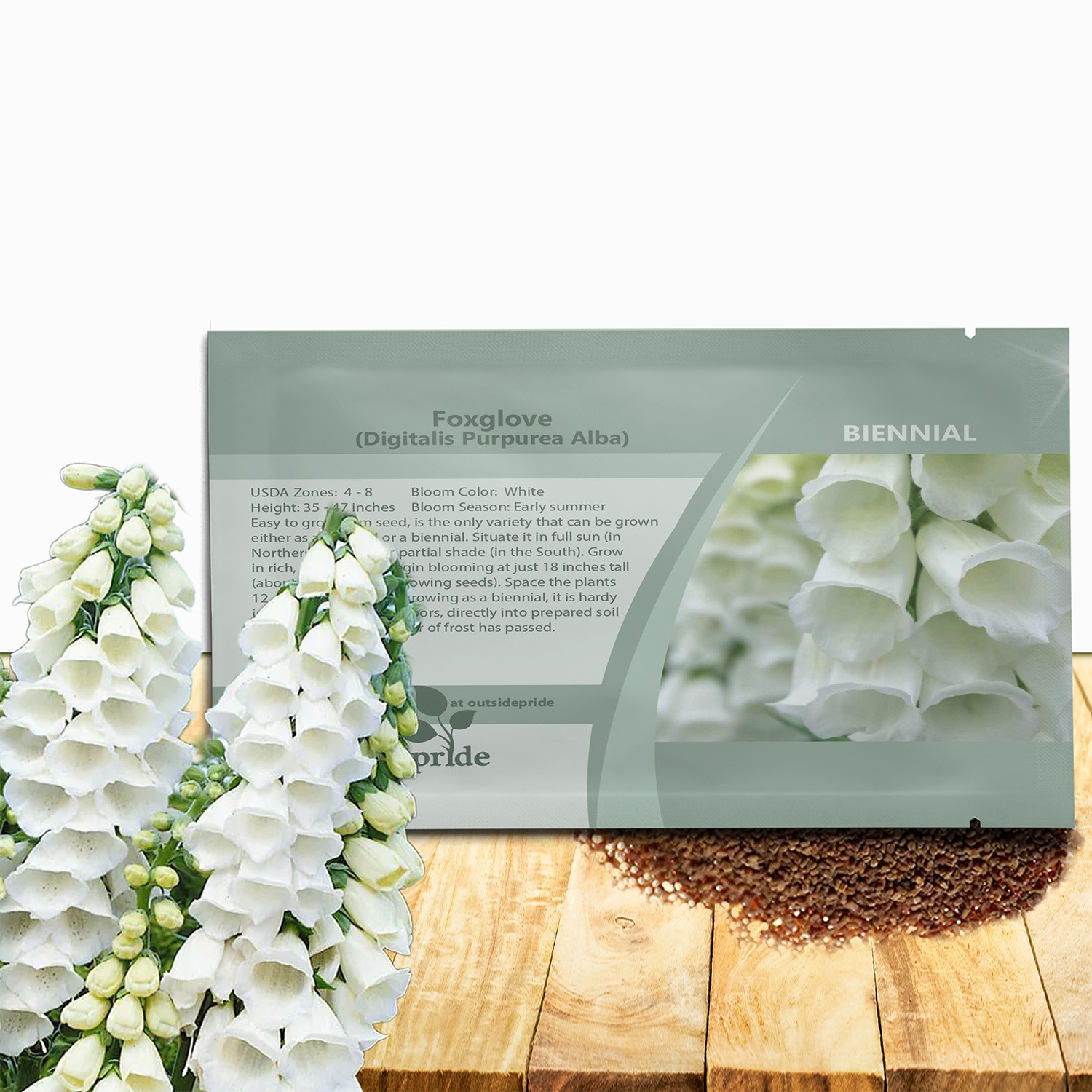 5000 seeds Foxglove Seed – Digitalis Purpurea Alba Wildflower Seeds