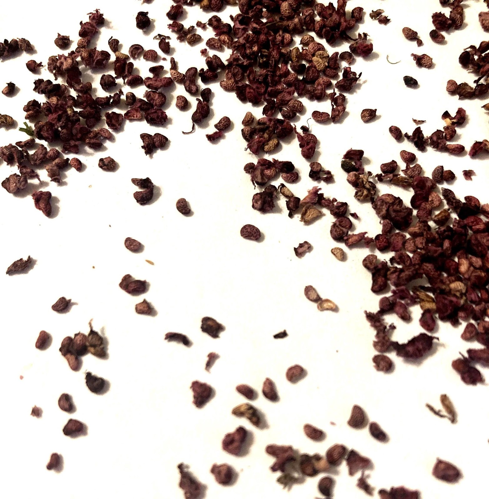 Black Raspberry Seeds (Rubus Occidentalis) Blackcap Raspberry Thimbleberry