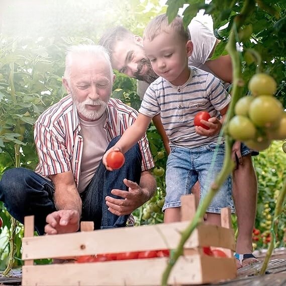 Heirloom Garden Seeds | Non-GMO Vegetable & Herb Seeds | Survival Gardening