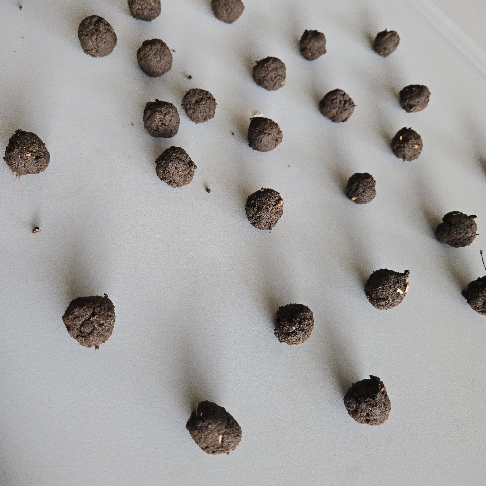Midwest Wildflower Seed Balls Bombs Annual/perennial Premium Organic Seed Mix