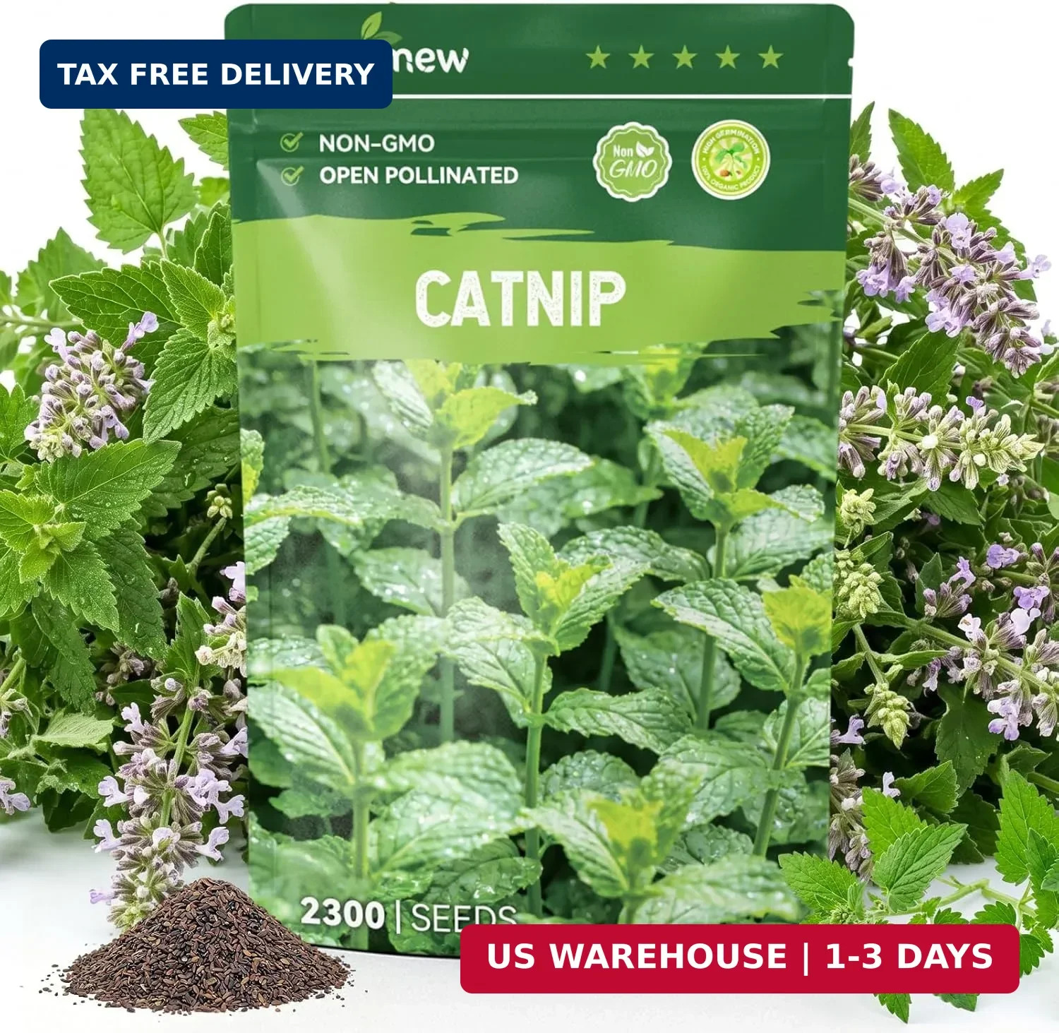 2300 Catnip Seeds for Planting Indoors & Outdoors – Premium Non-GMO Herb Cat Nip