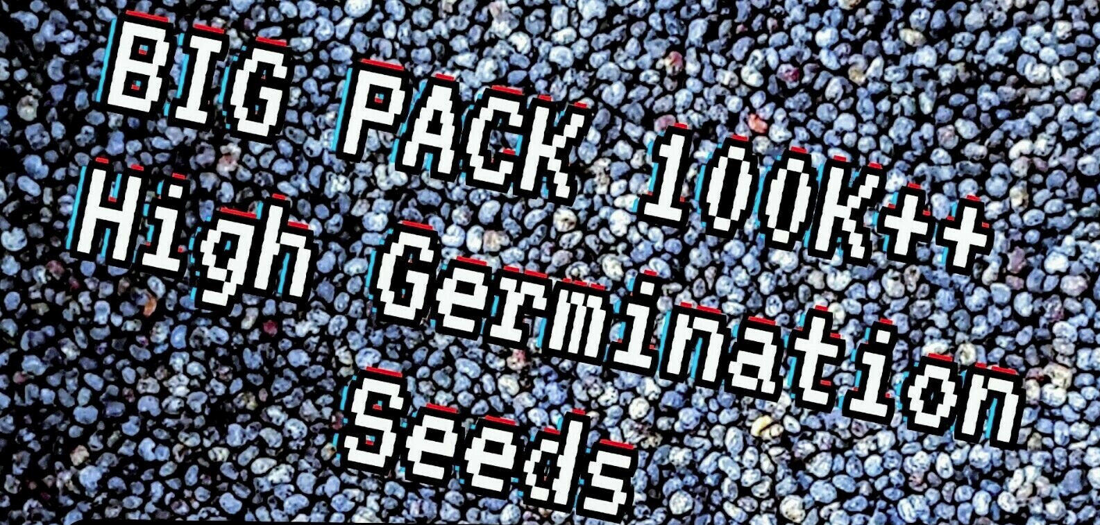 FREE SHIPPING 100,000+ Best Blue Poppy Seeds BIG PACK! ONE OZ – 1 Ounce