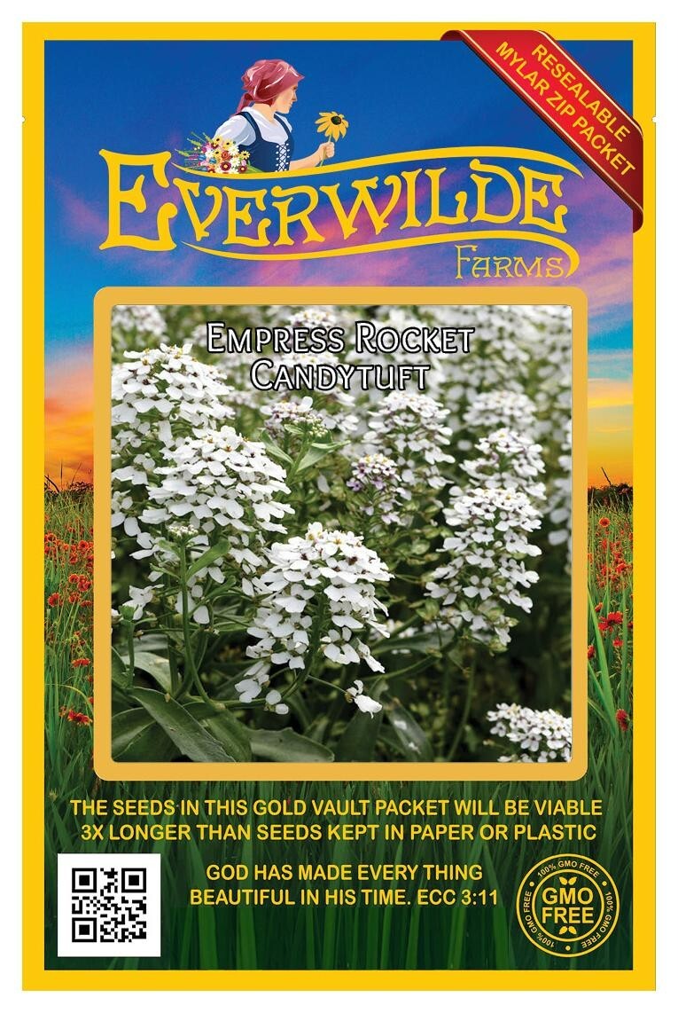 500 Empress Rocket Candytuft Wildflower Seeds – Everwilde Farms Mylar Packet