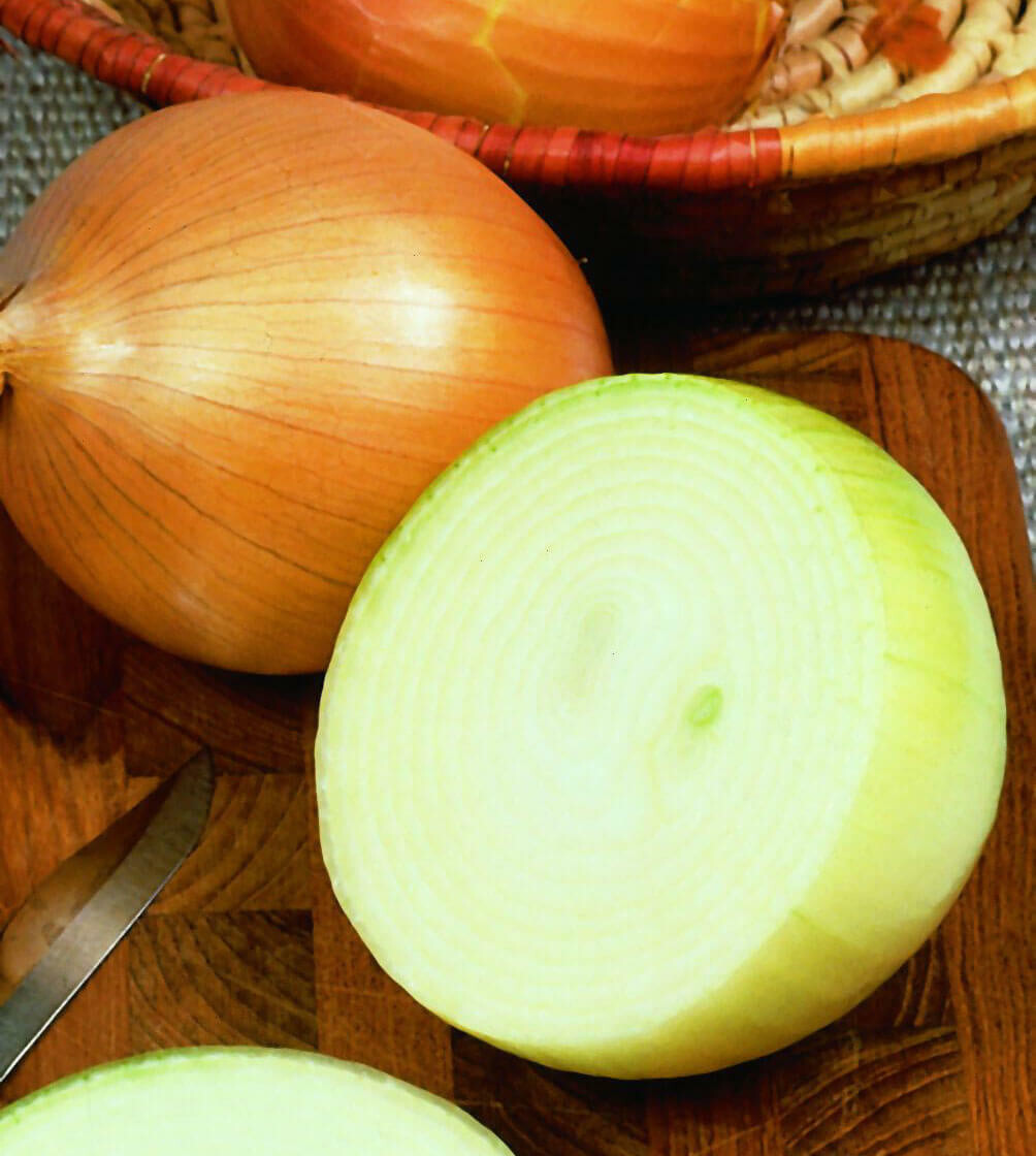 SCARBOROUGH SEEDS WALLA WALLA SWEET ONION 125 Seeds Heirloom Non-GMO – USA