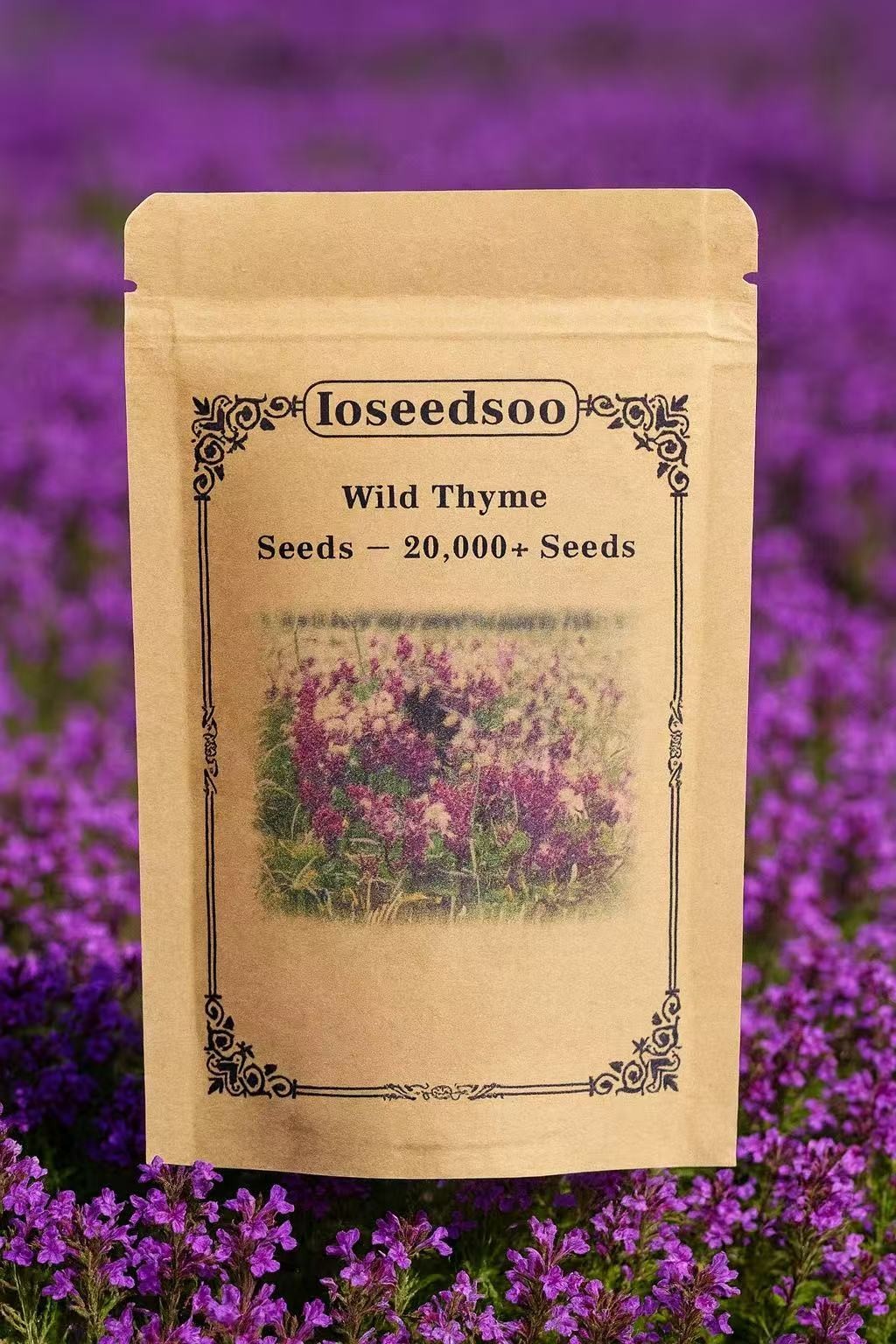 Wild Thyme Seeds – 20,000+ Seeds, Perennial Ground Cover Plant for Outdoor
