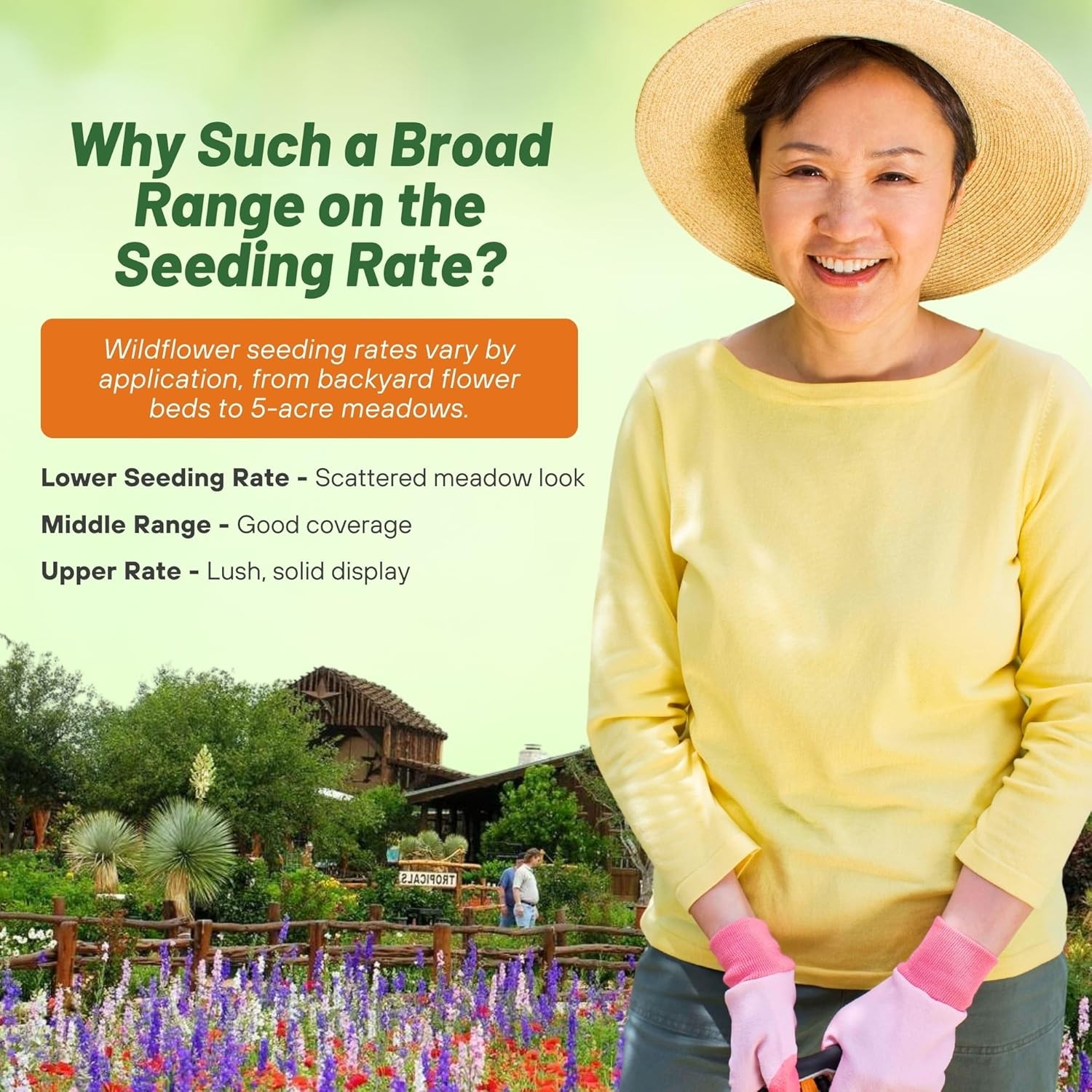 5 LBS Texas and Oklahoma Wildflower Seed Mixes For Planting Outdoors