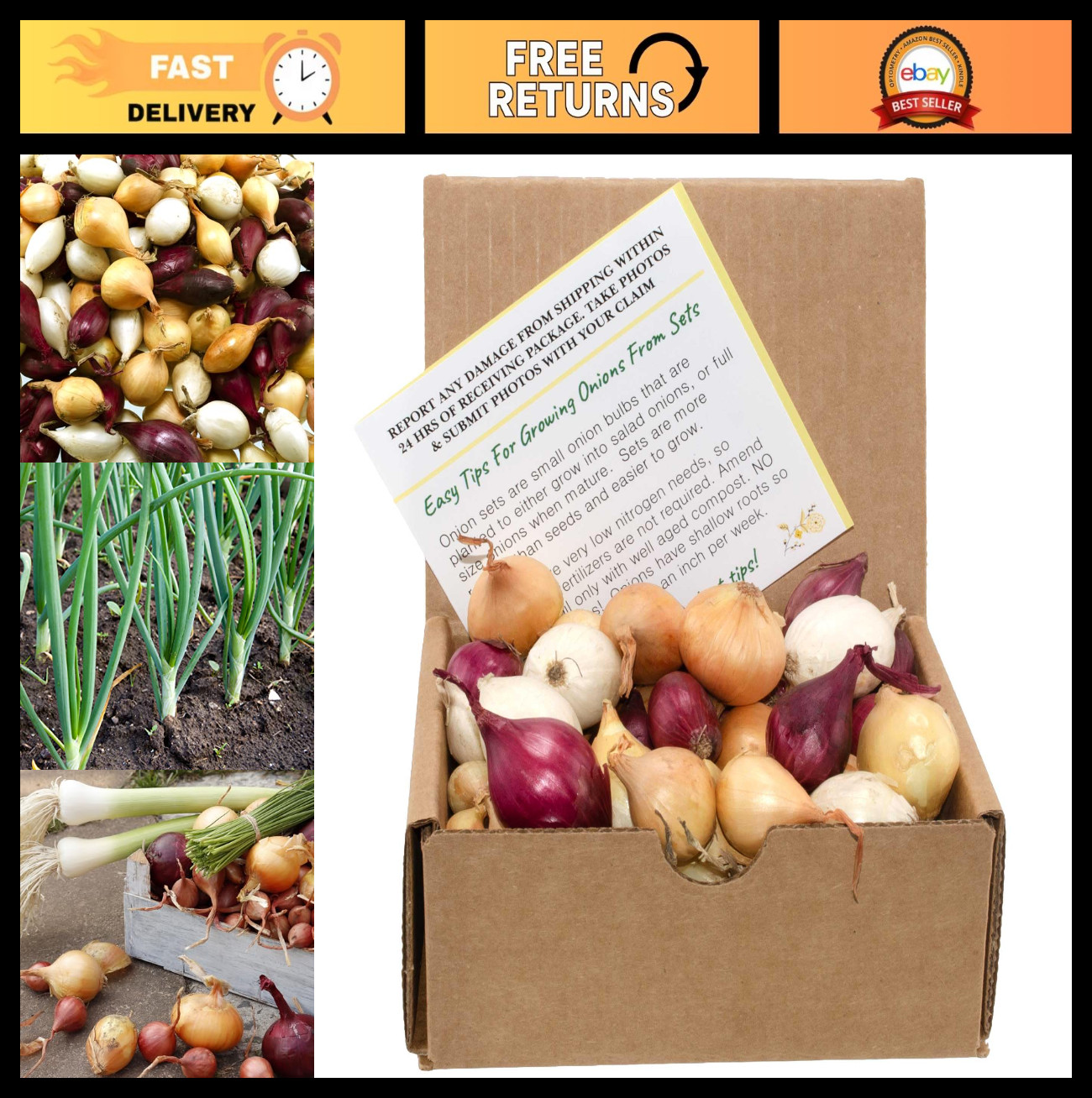 50+ Count Mixed Onion Sets – Red, White & Yellow Non-GMO Onion Bulbs for Garden