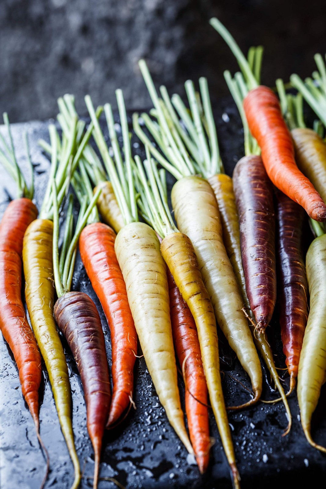 500 RAINBOW CARROT MIX White Red Yellow Purple Orange Daucus Carrota Seeds