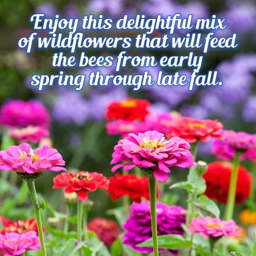 Bumblebee Bonanza Wildflower Seeds – 1oz, Open-Pollinated Wildflower Seed